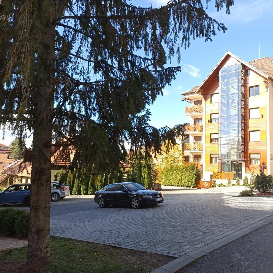Lux I Jeremici * Zlatibor